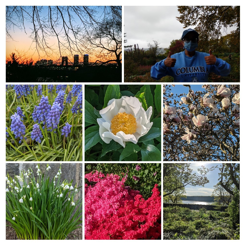 A collage of photos from Fort Tryon Park in New York City