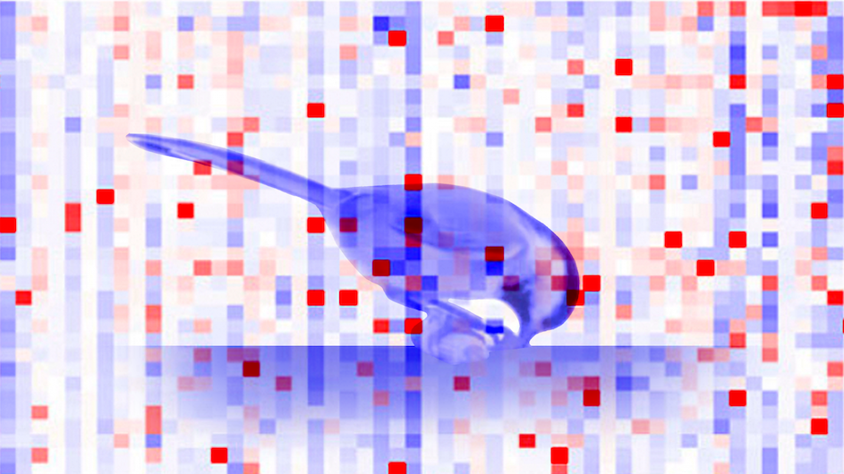 Illustration of a chickadee caching a seed overlaid with a neural ‘barcode’ activity.