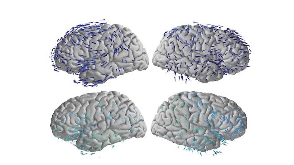 Traveling wave propagation directions in the memory task reveal how the brain quickly coordinates activity and shares information across multiple regions.