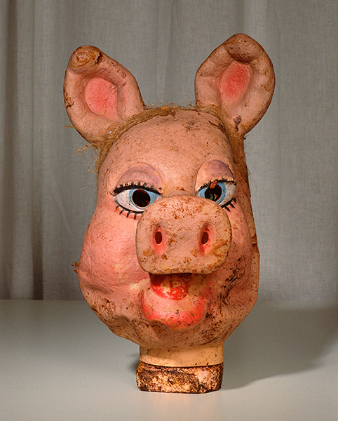 Pig head sculpture