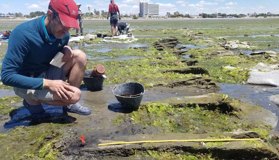 This year, scientists at Columbia Climate School, with colleagues from Argentina, analyzed the tree rings on a wrecked ship on Argentina's south coast, and determined that the ship was very likely an 1850s whaling boat from Rhode Island. <span class='pullquote'>This year, scientists at Columbia Climate School, with colleagues from Argentina, analyzed the tree rings on a wrecked ship on Argentina's south coast, and determined that the ship was very likely an 1850s whaling boat from Rhode Island.</span>