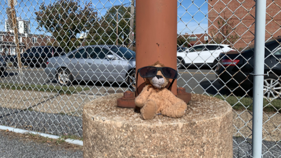 A photo of a stuffed animal lion with sunglasses on a pole