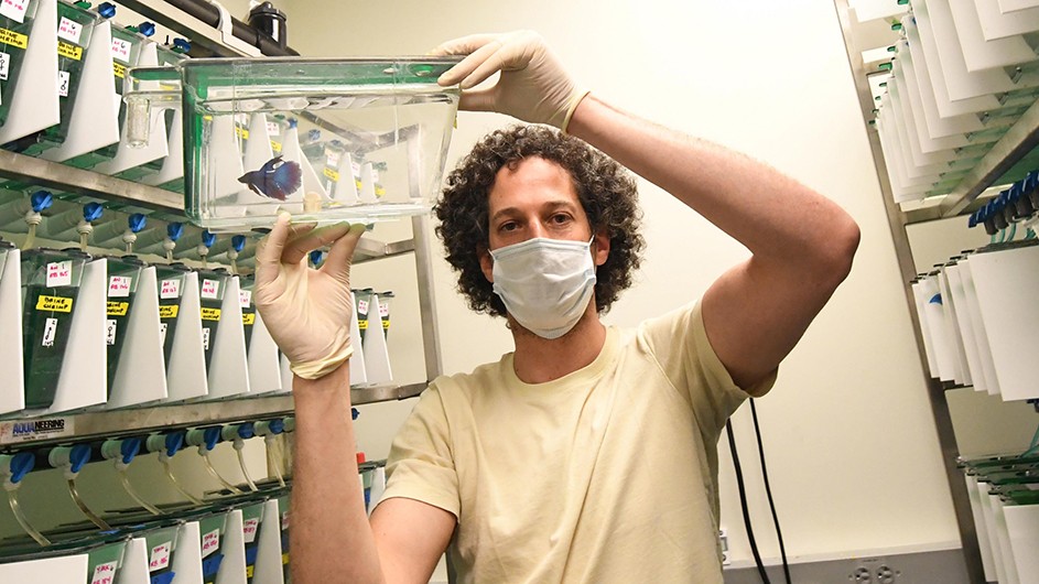 Young man with curly brown hair, white mask and gloves, and yellow T-shirt holding up a glass fish tank with a blue fish inside