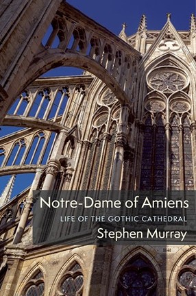 A book cover with a photo of a detail of a Gothic cathedral and blue sky in the background. Book title--Notre-Dame of Amiens: Life of the Gothic Cathedral.