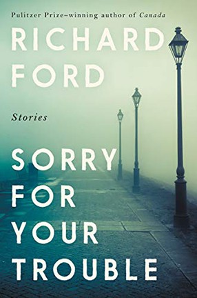 A book cover with white text against a photo of a foggy road with street lamps. Title: Sorry for Your Trouble.