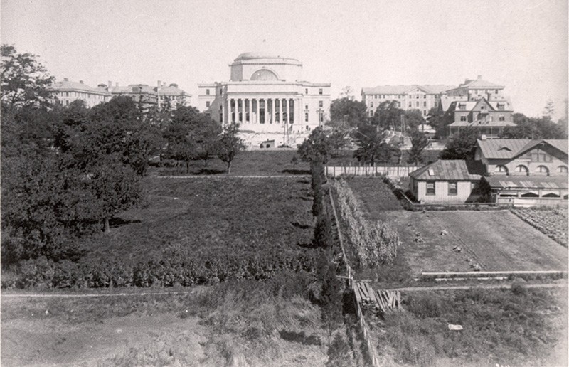 black and white image of a far off distant shot of the low plaza area under construction including small buildings and land of grass and trees