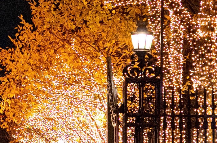 Twinkle lights on college walk in the abstract.