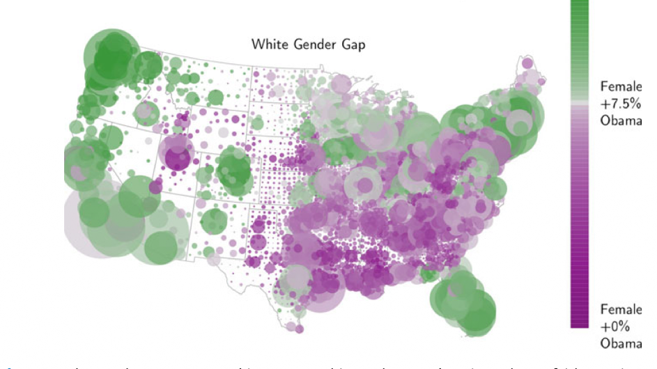 In this map of white voters in the 2012 presidential election, the green circles represent counties with higher gender gaps than the U.S. average, and the purple circles, gender gaps lower than the average. The brighter the color, the larger the deviation from the average. Estimates are based on a model fit to survey data. This data visualization follows the principles of exploratory data analysis but is based on a fitted model, rather than raw data, using computer-intensive methods. Credit: Yair Ghitza and Andrew Gelman. In this map of white voters in the 2012 presidential election, the green circles represent counties with higher gender gaps than the U.S. average, and the purple circles, gender gaps lower than the average. The brighter the color, the larger the deviation from the average. Estimates are based on a model fit to survey data. This data visualization follows the principles of exploratory data analysis but is based on a fitted model, rather than raw data, using computer-intensive methods. Credit: Ghitza + Gelman