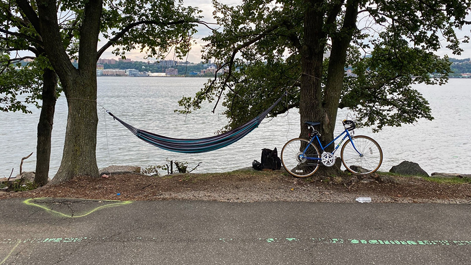 Bicycle in deals a tree