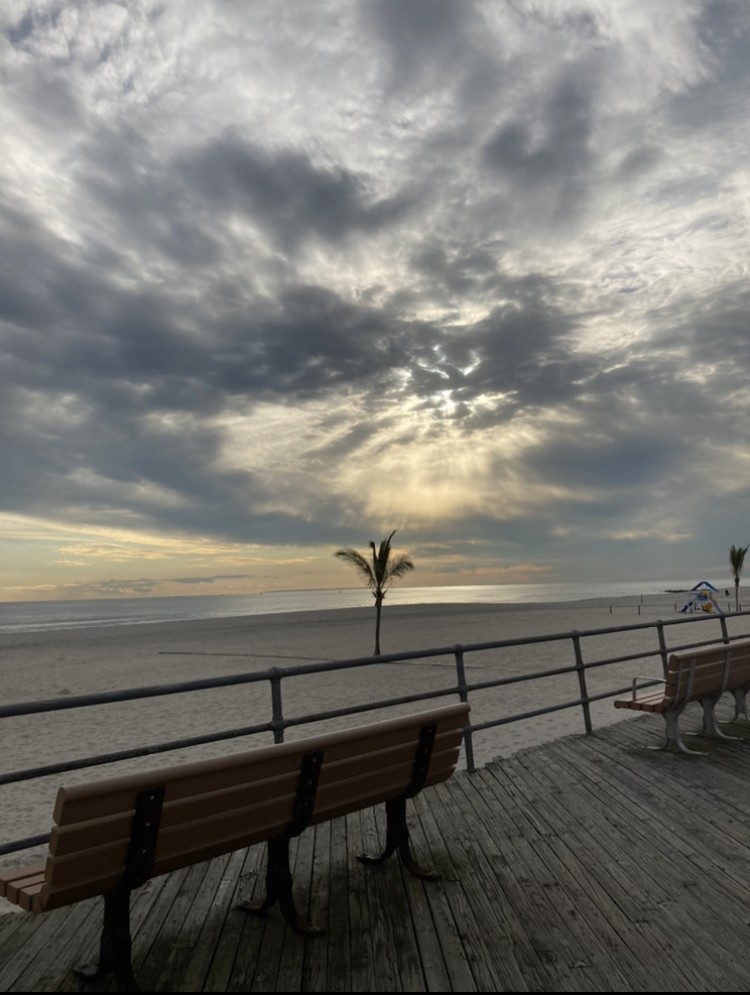 A palm tree and sand at Atlantic Beach Boardwalk, New York.