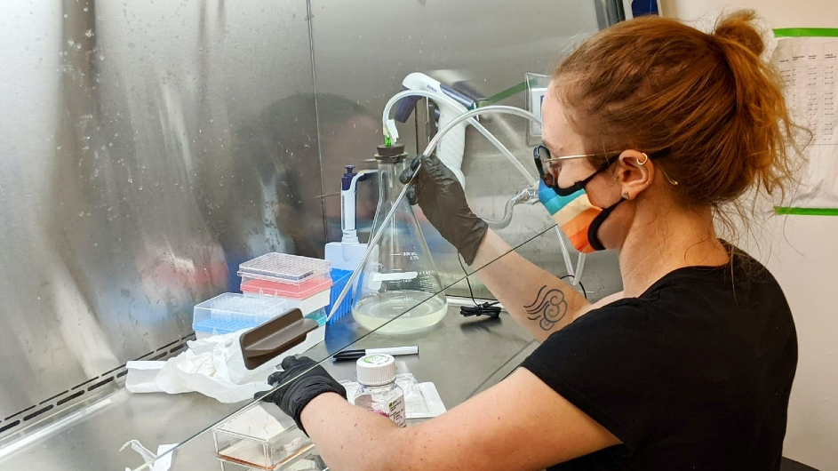 Columbia postdoc Bentley Shuster under a tissue-culturing hood