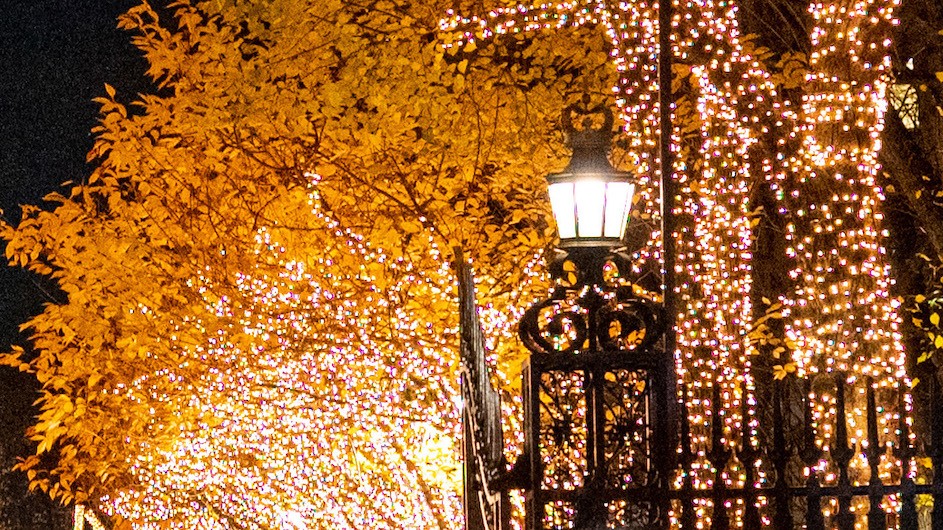 College Walk, holiday lights, Columbia University