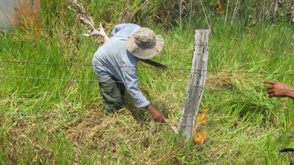 A new study quantifies how much adding a ton of human-produced carbon dioxide emissions will contribute to human mortality over time. Here, a farmer in the Peruvian Amazon sets a fire to clear land for agriculture. Such fires are a substantial source of emissions. (Kevin Krajick/Earth Institute) A farmer in the Peruvian Amazon sets a fire to clear land for agriculture. Such fires are a major source of carbon emissions.