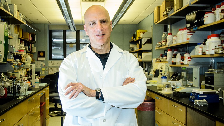 Neuroscientist and musician David Sulzer's many projects include the Thai Elephant Orchestra and the Brainwave Music Project. Columbia University Irving Medical Center Professor David Sulzer