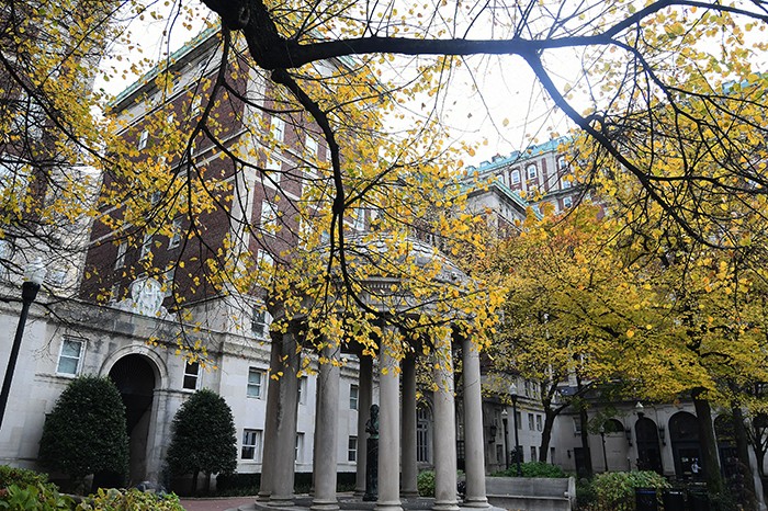 Yellow leaves cover the Van Am Quad
