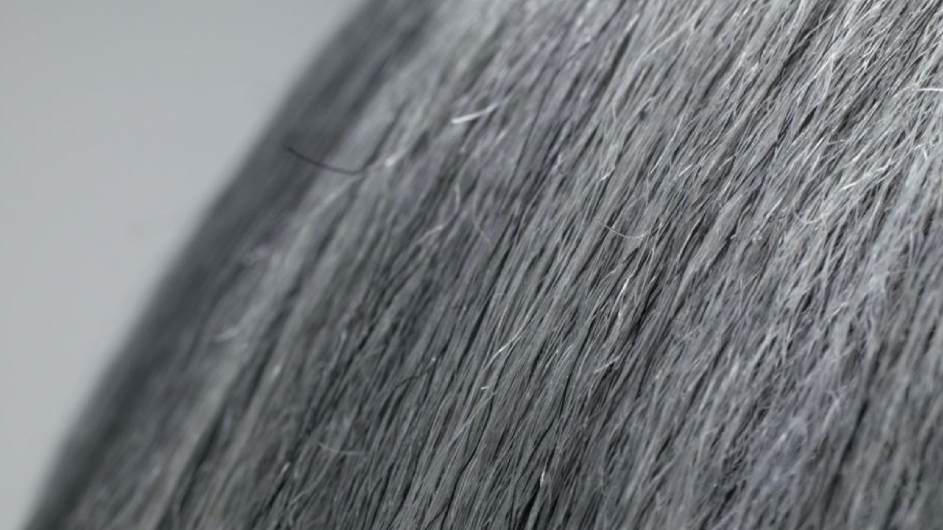 gray hair photo gray hair photo