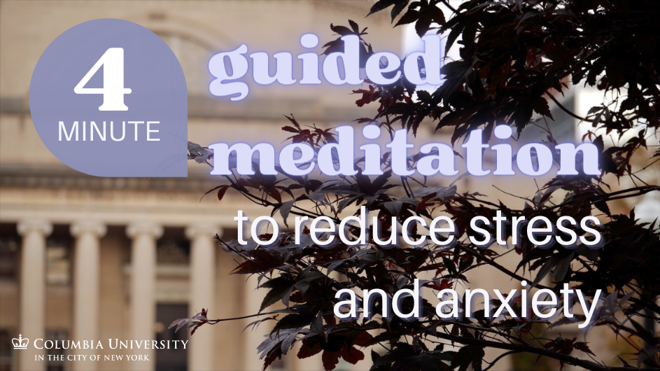 guided meditation to reduce stress and anxiety
