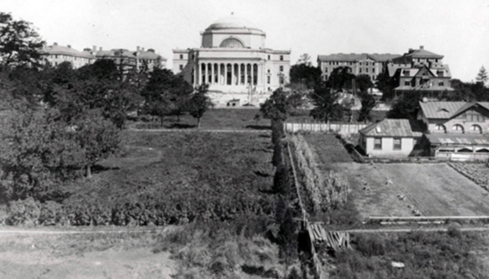 A historic photo of Morningside Campus featuring Low Library and Buell Hall