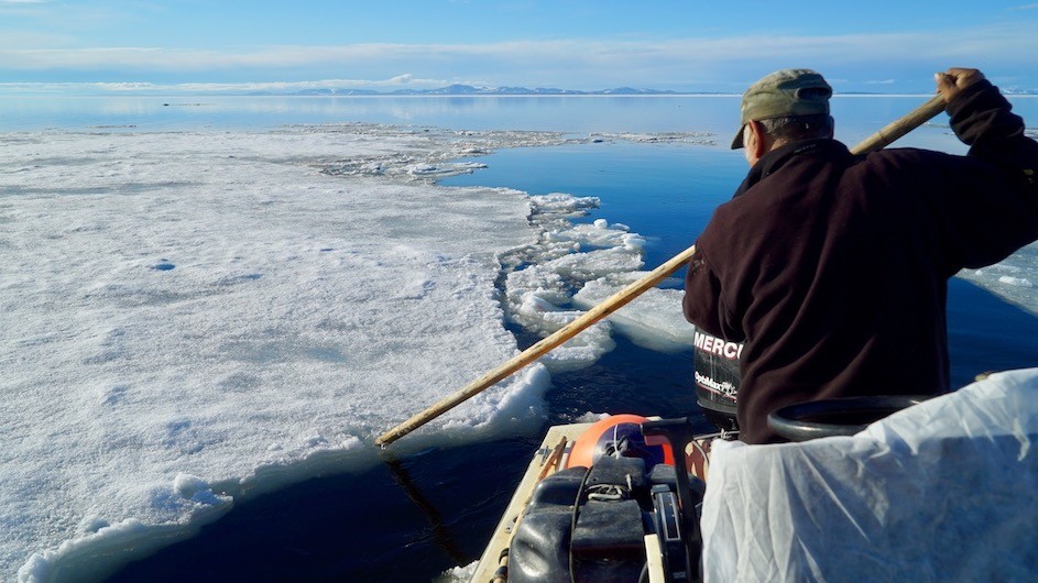Ross Qalayaq Schaeffer Sr., a community elder, observing the sound's sea ice. Photo credit: Sarah Betcher/Farthest North Films Kotzebue elder observing the sound's sea ice
