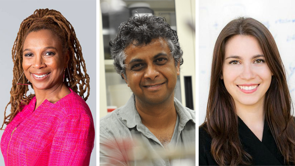 Kimberlé Williams Crenshaw, Sanat Kumar, and Rachel Cummings.