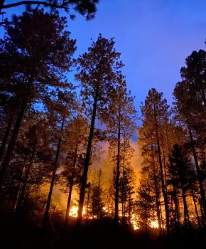 Wildfires in New Mexico in 2020