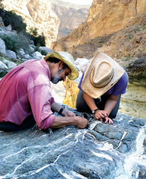 Columbia researcher Peter Kelemen examines rocks in Oman with carbonate veins. (Photo: Kevin Krajick)