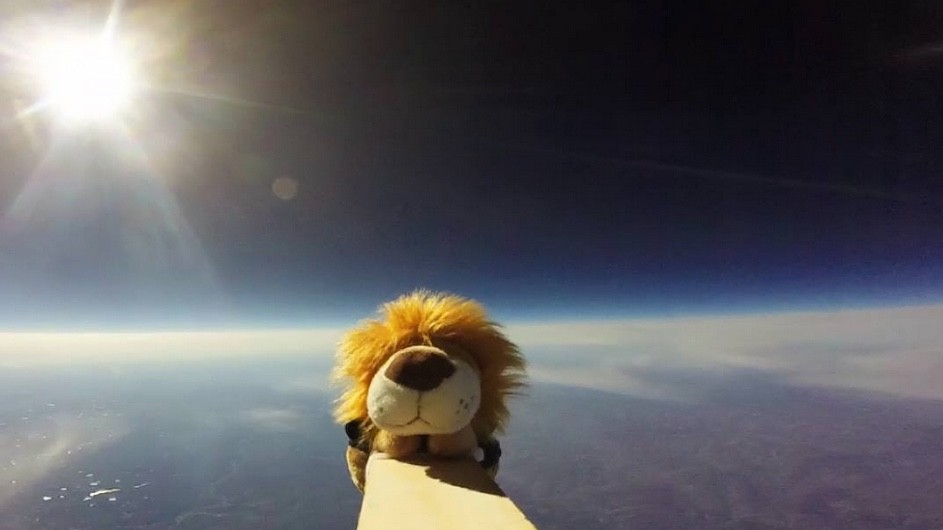 A stuffed Roaree mascot on the wingtip of a space ship. 