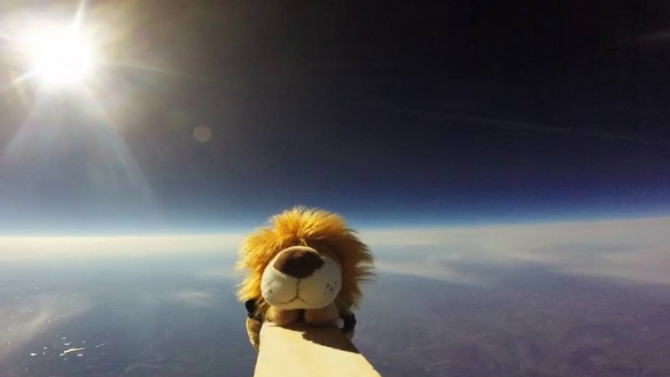 The Columbia Space Initiative launched a plush Roaree, the university mascot, on a balloon into space as one of its missions. Columbia's mascot Roaree tethered to a balloon launched into space by the Columbia Space Initiative