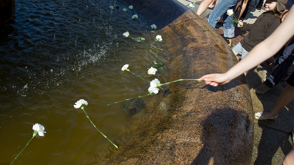 Students place flowers in a pool. 