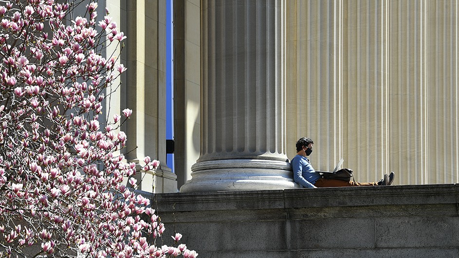 Blooming magnolia tree and person reading a book in front of a column of Lowe Library