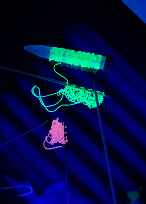 Werewool biodegradable fibers that naturally fluoresce. Werewool biodegradable fibers