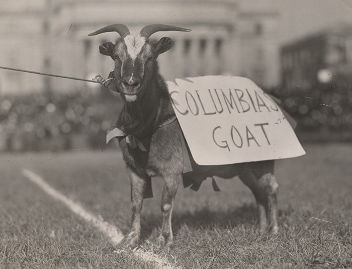 A goat with a sign that reads "Columbia's Goat."