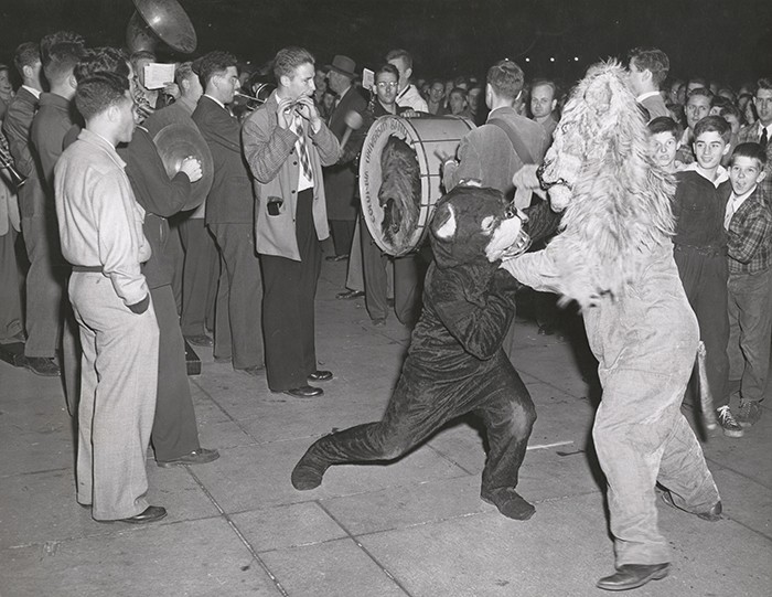 A photo of the Columbia Lion in the 1940s fighting a bear mascot. 