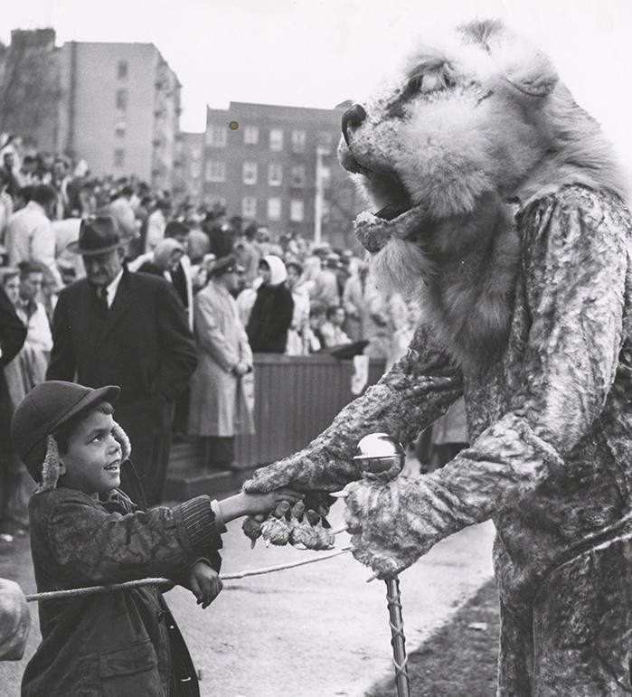 Coolumbia's Lion mascot greets a boy. 