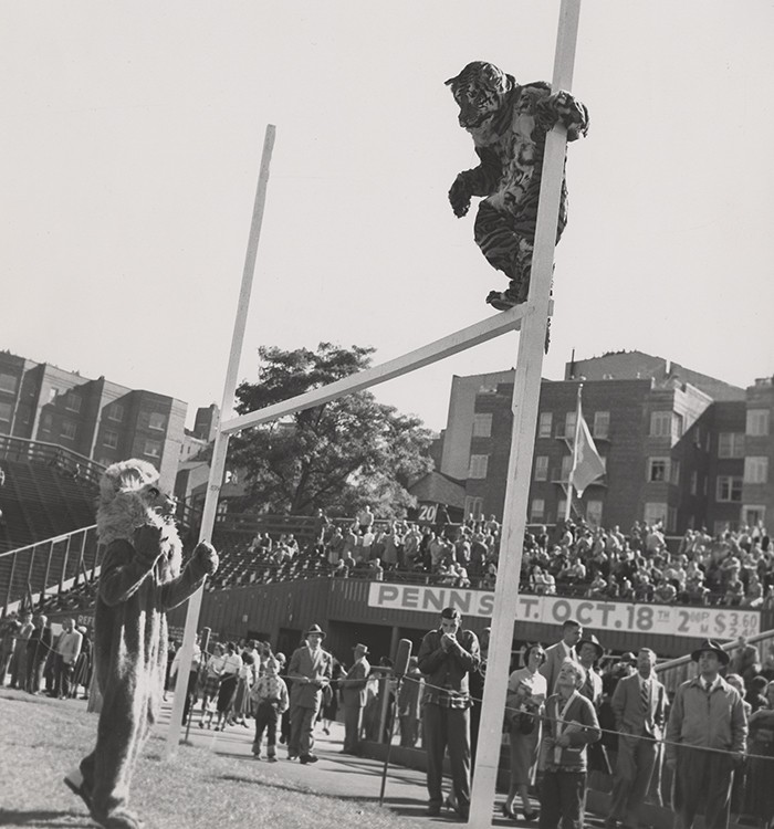 The Columbia Lion chases the Princeton tiger up a football goal post. 