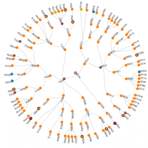 An alternative visualization of how the Cohen structure theorem and related concepts intersect. Visualization of how the Cohen structure theorem and related concepts intersect.