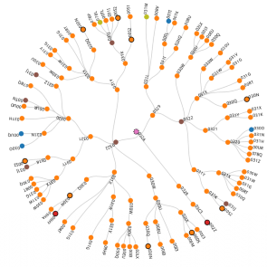 Visualization of how the Cohen structure theorem and related concepts intersect. 