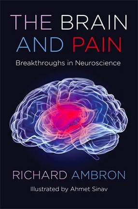 The Brain and Pain; Breakthroughs in Neuroscience by Richard Ambron