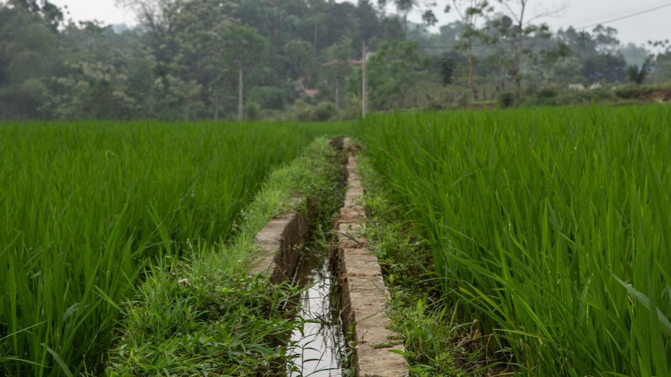 Climate Action Collective, Columbia World Projects