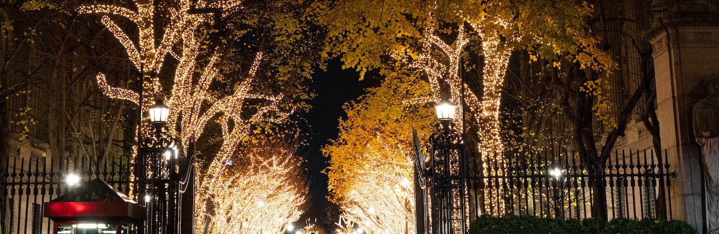 College Walk holiday lights, Morningside Campus, Columbia University