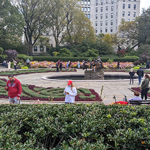 Conservatory Garden