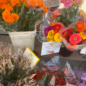 Flowers at the Prospect Park Farmers Market