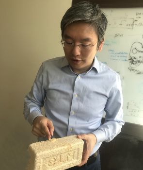 Professor Harris Wang holds a living brick that has come into contact with water and sprouted a bumpy layer of fungus. Photo: Kim Martineau Columbia professor Harris Wang.
