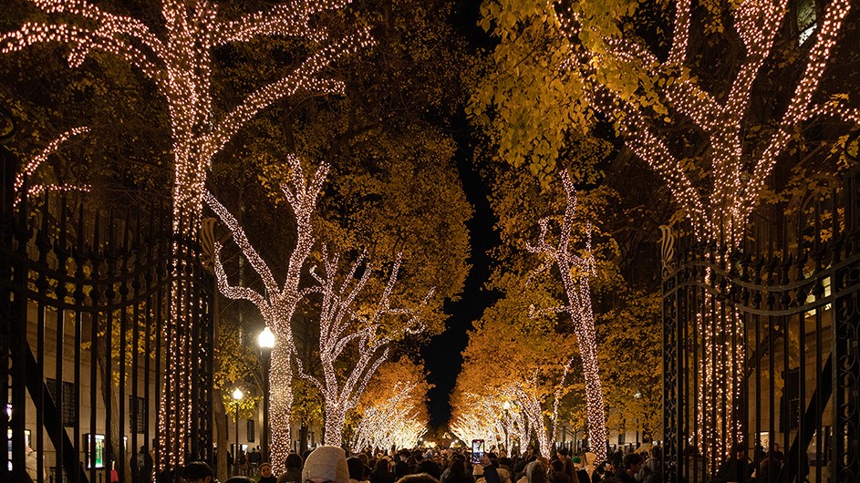 Dozens of students gather to celebrate the holiday season as trees alongside College Walk are illuminated with festive white lights in the evening at Columbia University.