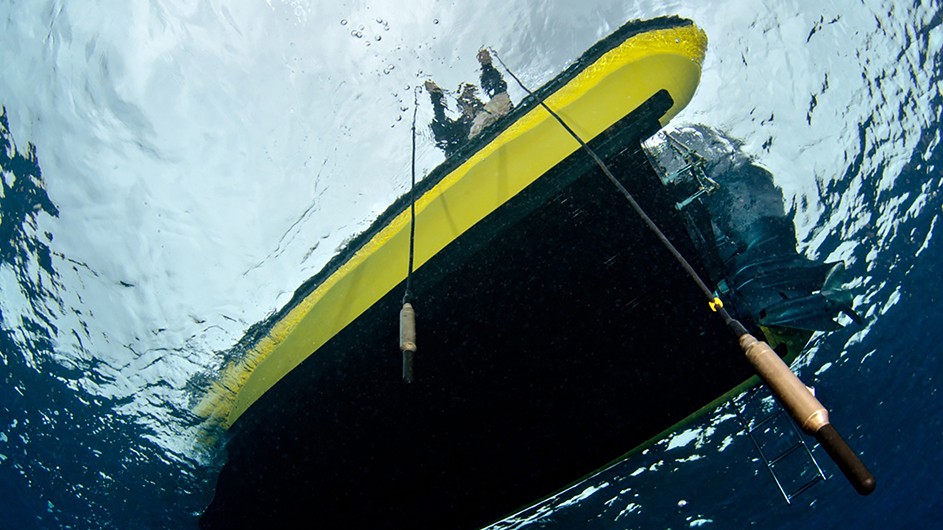 Jana Winderen, hydrophone, Columbia University