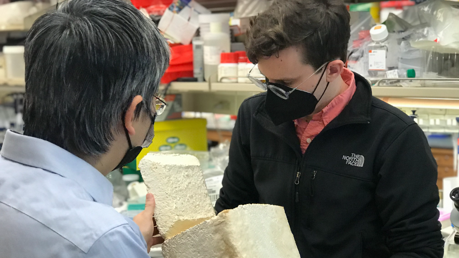 Columbia researcher Harris Wang (left) and PhD student Ross McBee. Photo: Kim Martineau