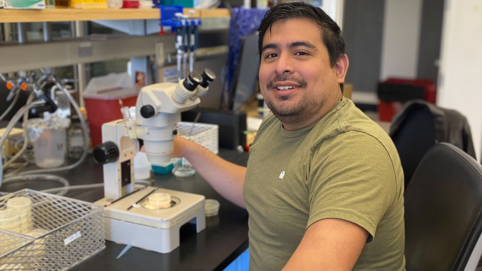 Robert Fernandez, a postdoc in Oliver Hobert's lab at Columbia, studies the nervous system of the roundworm while mentoring undergraduates and helping low-income students navigate the PhD application process. (Photo: Steven Cook) Robert Fernandez, a postdoc in Oliver Hobert's lab at Columbia. (Photo: Steven Cook)