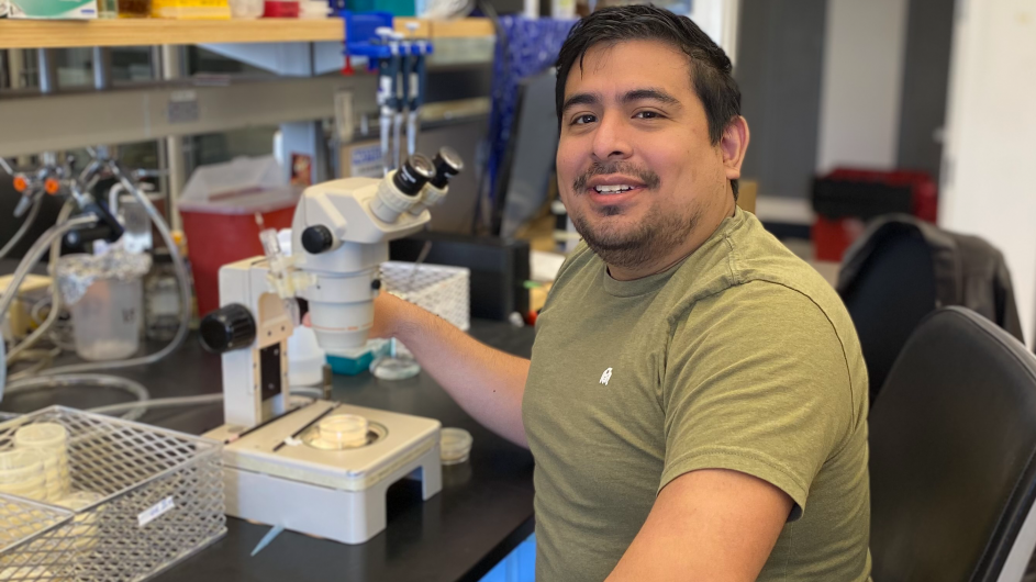 Robert Fernandez, a postdoc in Oliver Hobert's lab at Columbia. (Photo: Steven Cook)