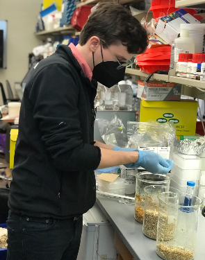 Ross McBee mixes the hemp substrate used to make the living bricks. Photo: Kim Martineau Columbia PhD student Ross McBee