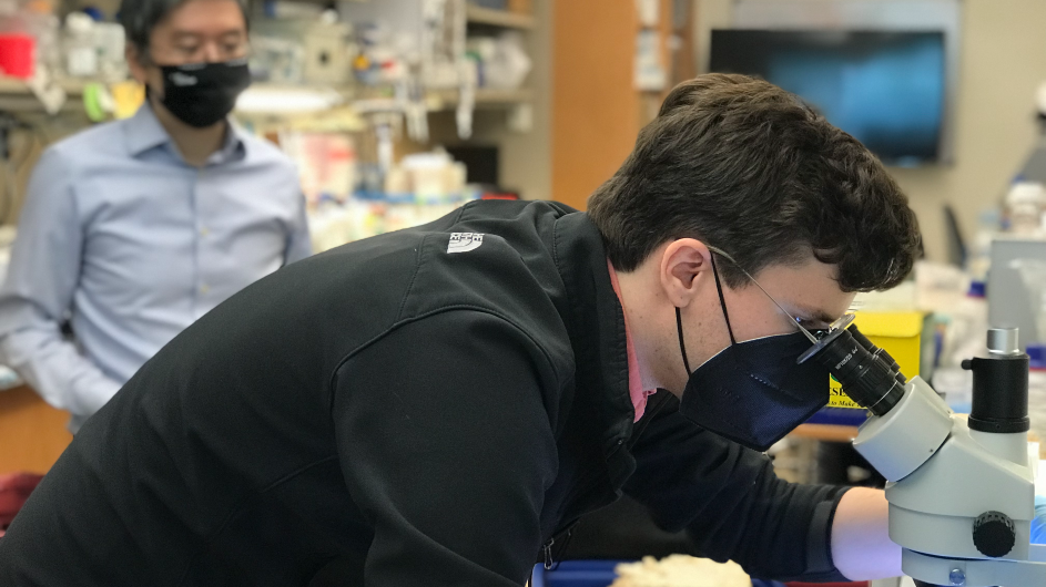 Smart bricks "gracefully biodegrade back into the environment,” said McBee, seen here looking through a microscope. Photo: Kim Martineau Ross McBee at a microcope